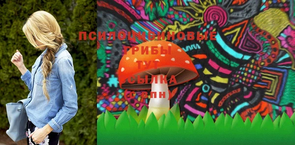 PSILOCYBIN Баксан