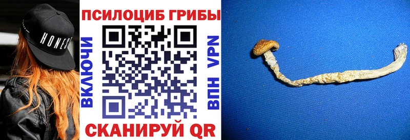 Галлюциногенные грибы мицелий  omg зеркало  Вуктыл 